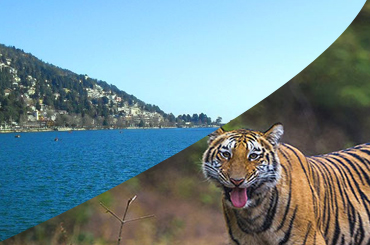lake and tiger tour nainital, nainital lake & tiger packages